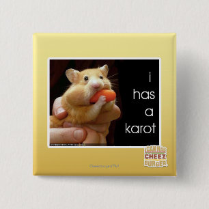 I has a karot 2 inch square button