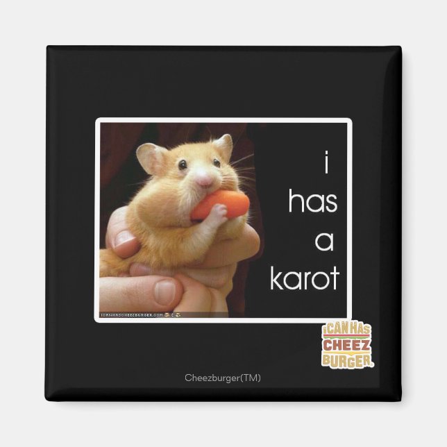 I has a karot magnet (Front)
