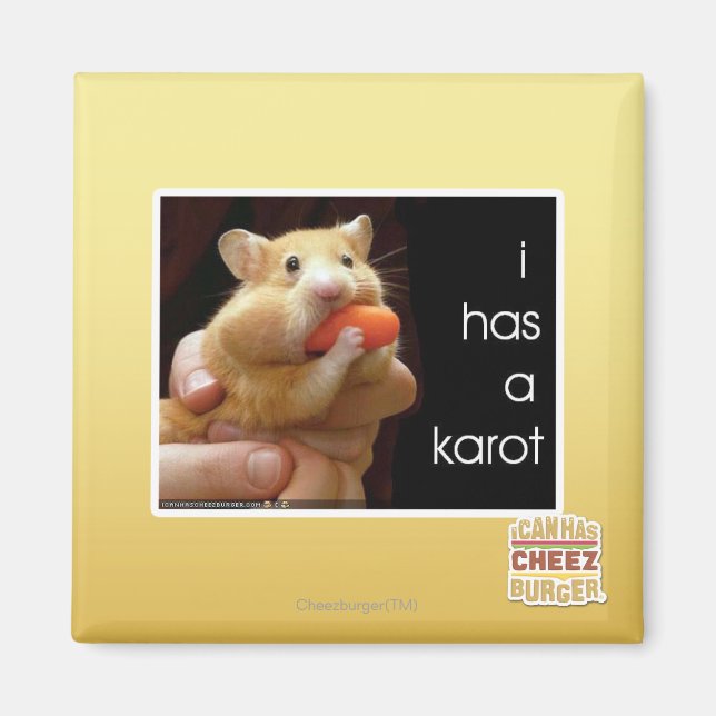 I has a karot magnet (Front)