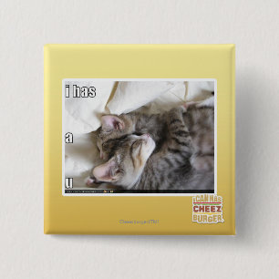 I has a u 2 inch square button