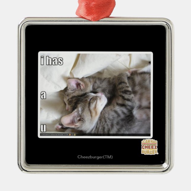 I has a u metal ornament (Front)