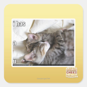 I has a u square sticker