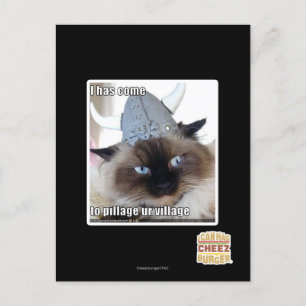 I has come to pillage ur village postcard