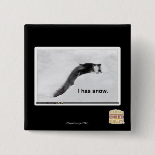 I has snow. 2 inch square button