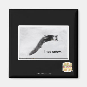 I has snow. magnet