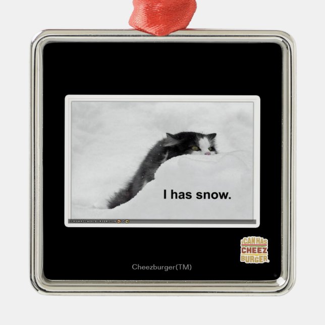 I has snow. metal ornament (Front)