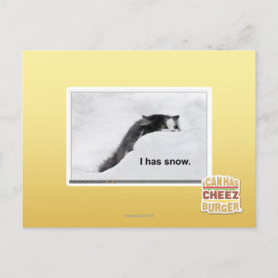 I has snow. postcard