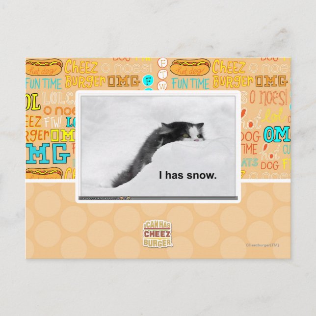 I has snow. postcard (Front)