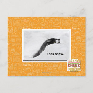 I has snow. postcard
