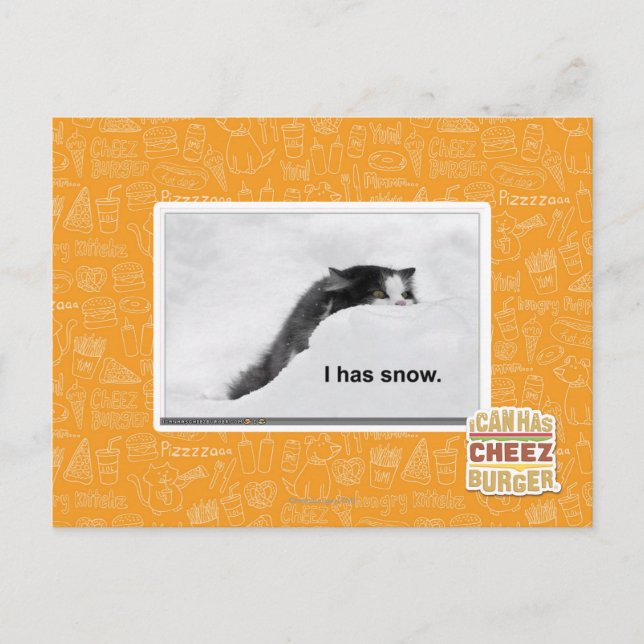 I has snow. postcard (Front)