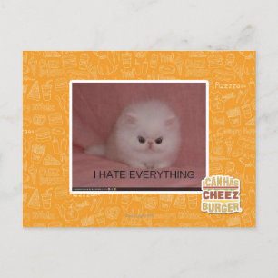 I hate everything postcard