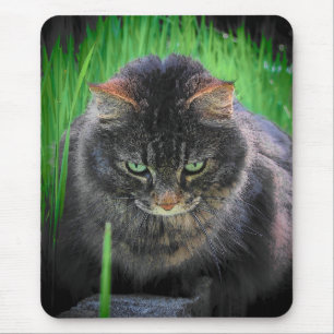 I hate that blade of grass mouse pad