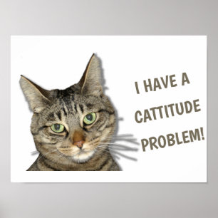 I have a cattitude problem! cute custom poster