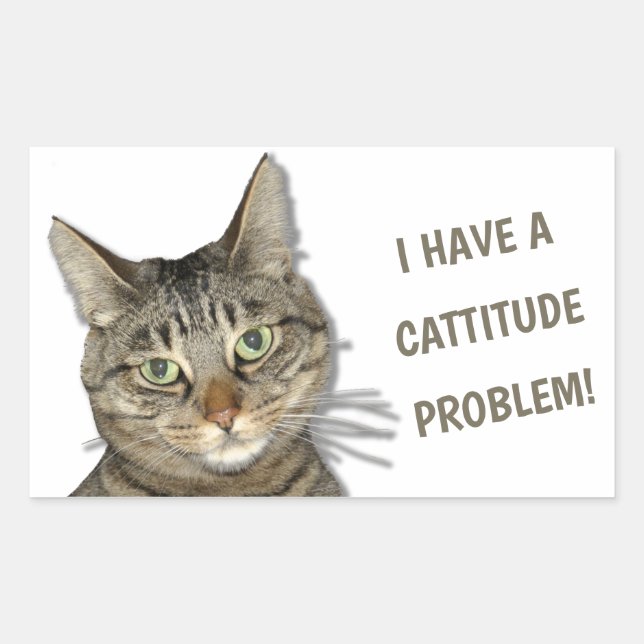 I have a cattitude problem! cute custom sticker (Front)