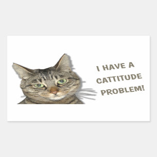 I have a cattitude problem! cute custom sticker