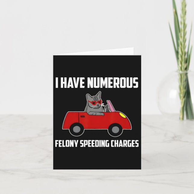 I Have Numerous Felony Speeding Charges Funny Cat  Card (Front)