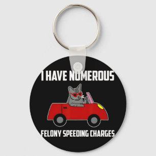 I Have Numerous Felony Speeding Charges Funny Cat Keychain