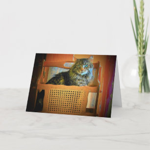 I have so many issues I need A magazine Rack Card