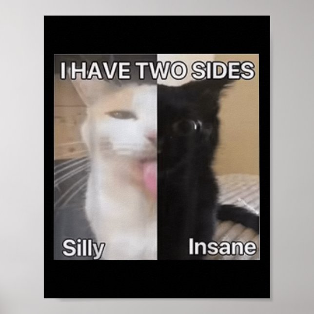 I Have Two Sides Silly Insane Cat Funny For Men Wo Poster (Front)