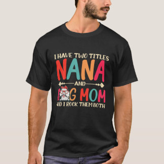 I Have Two Titles Nana And Poodle Dog Mom Funny Do T-Shirt