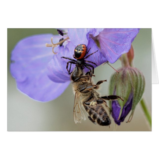 I have you now. (Front Horizontal)