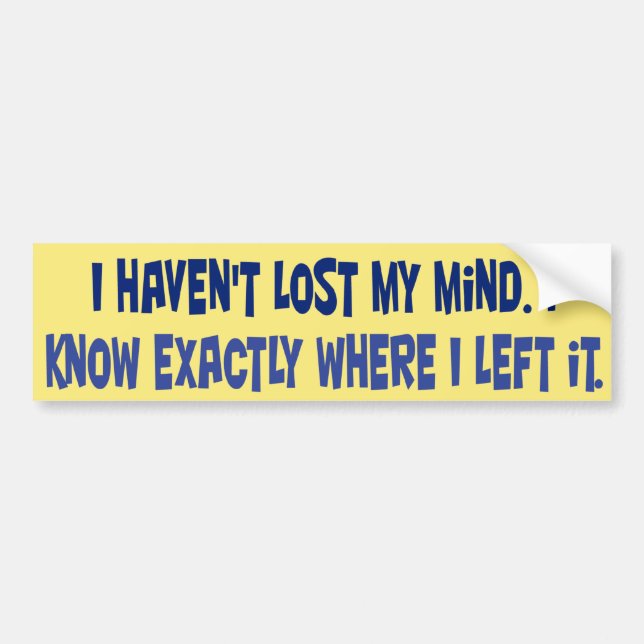 I haven't lost my mind. bumper sticker (Front)