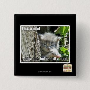 I haz a mad 2 inch square button