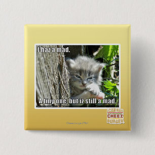 I haz a mad 2 inch square button