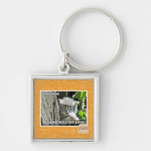 I haz a mad keychain