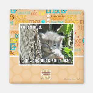 I haz a mad magnet