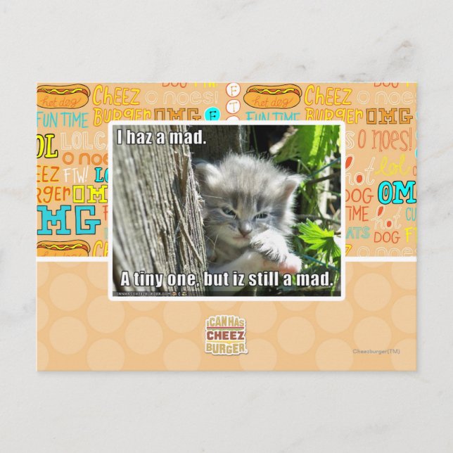 I haz a mad postcard (Front)