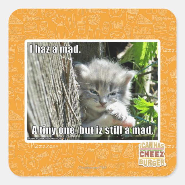 I haz a mad square sticker (Front)