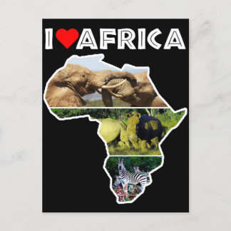 I Heart Africa Wildlife Collage Postcard