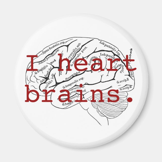 I heart brains. magnet (Front)