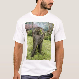 i heart elephants shirt