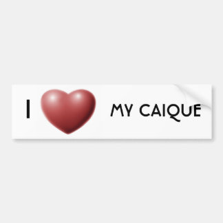 I heart my caique bumper sticker