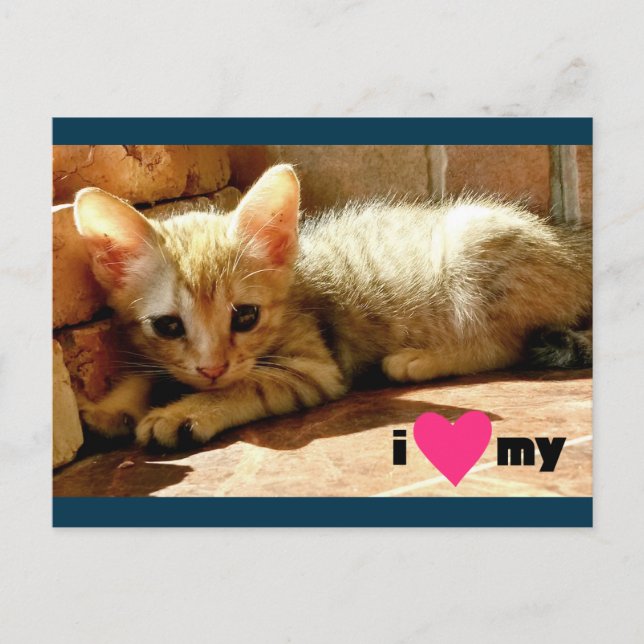 I heart My Cat Postcard (Front)