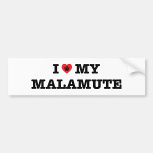 I Heart My Malamute Bumper Sticker