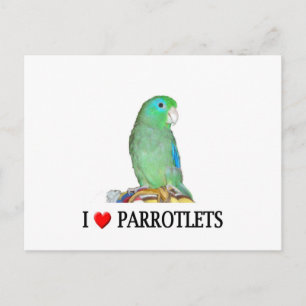 I "heart" parrotlets postcard