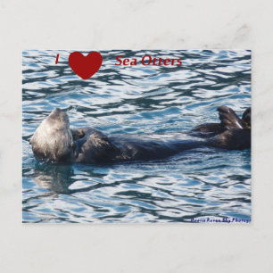 I Heart Sea Otters Postcard