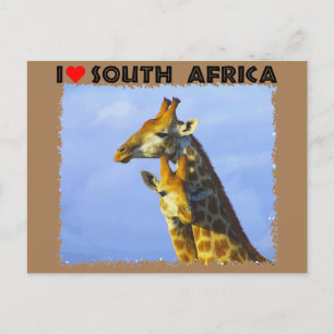 I Heart South Africa Blue Sky Giraffes Postcard