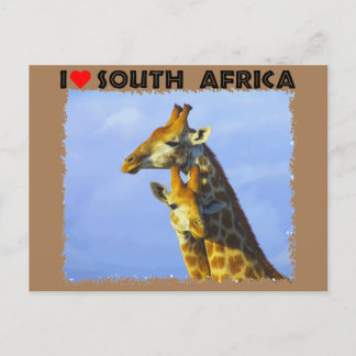 I Heart South Africa Blue Sky Giraffes Postcard