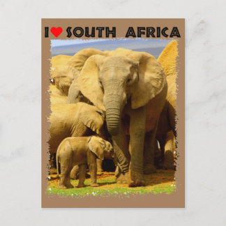 I Heart South Africa elephant mother and calf Postcard