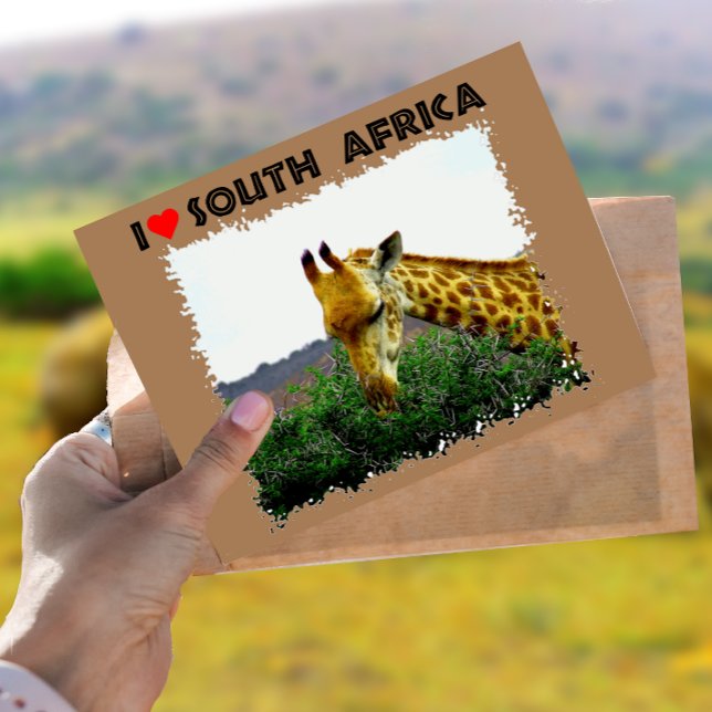 I Heart South Africa Giraffe Thorn tree Postcard (Creator Uploaded)