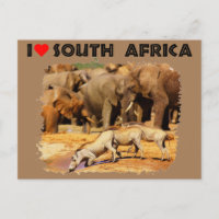 I Heart South Africa warthogs and elephants