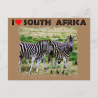 I Heart South Africa young zebra pair