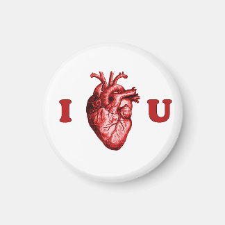 I Heart You Anatomical Heart - White & Red Magnet