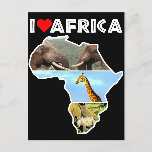 I Heat Africa Wildlife Collector Carte postale (Devant)