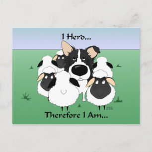 I Herd....Therefore I Am Postcard