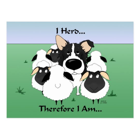 I Herd....Therefore I Am Postcard